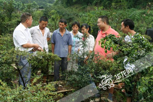 江南职业学校:为三农服务 凸显学校社会价值-江