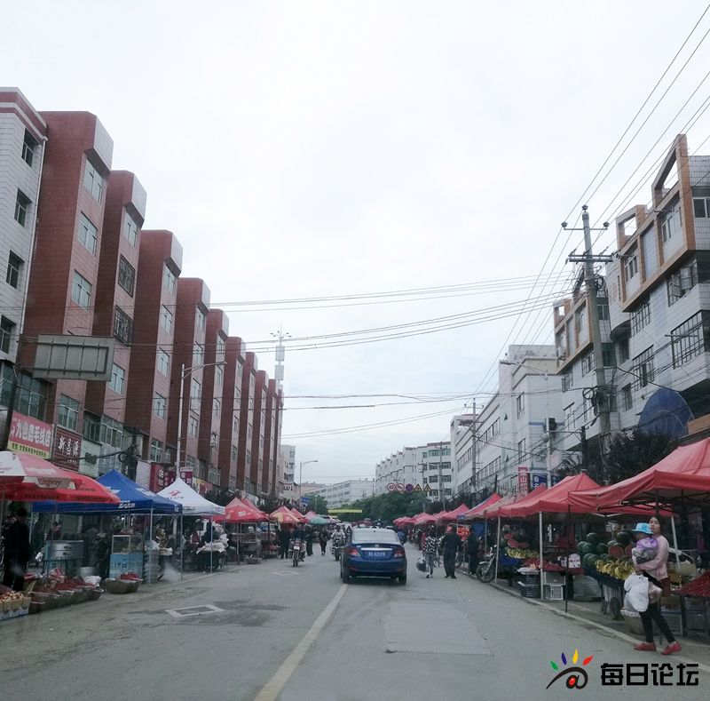 【网友】甘谷县城交通混乱 不见一个疏导交警(手机组图)