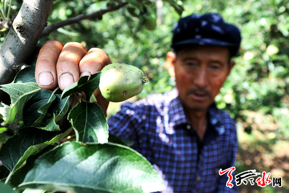  姚晨曹郁游迪士尼 同框合影 儿子小土豆雨中淌