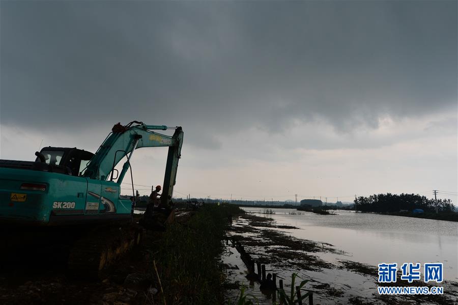 受长江来水和潮汛共同影响 江苏防汛抗灾形势