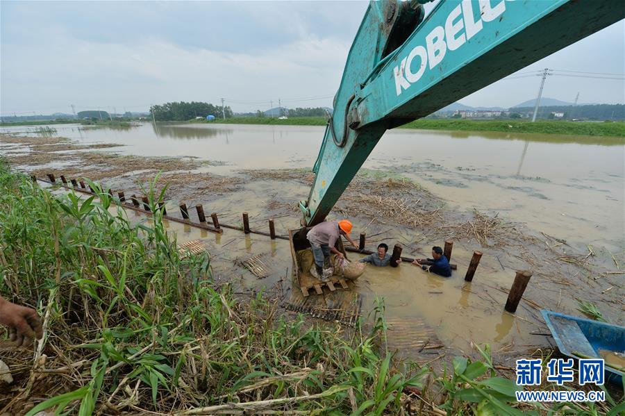 受长江来水和潮汛共同影响 江苏防汛抗灾形势
