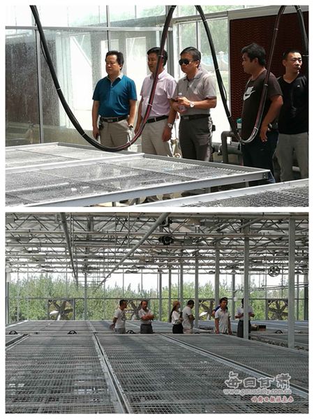 智能温室大棚建设项目 12669871_816387.jpg