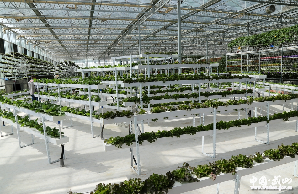 中国人均住宅_中国人均蔬菜消费量(3)