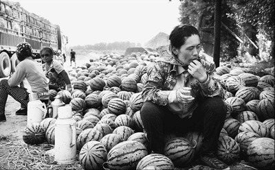 吉林西瓜收购价低瓜农损失大 业内:引导资金合