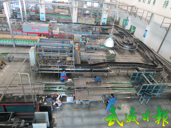 青岛啤酒_青岛啤酒销售收入