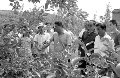 果树专家对礼县果农在苹果树修剪、用肥等方面