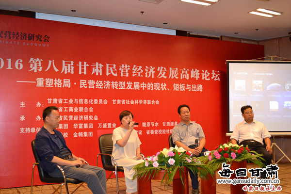 甘肃省民营企业经济总量_甘肃省地图(2)