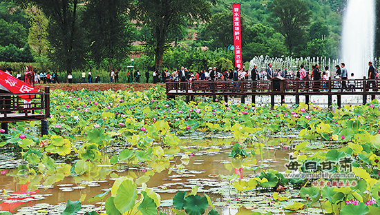 宁县举办印象义渠·莲花池旅游文化节-旅游文