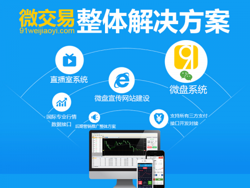 91微交易系统软件开发下的高效率与高性价比