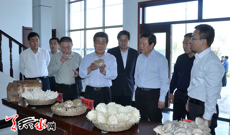 省委副书记,省长林铎深入我市武山县,甘谷县,清水县,张家川县和秦安县