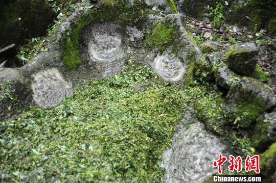 重庆酉阳一村庄现罕见“石花”(图)