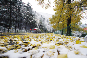 山舞银蛇,原驰蜡象…兰州深秋雪景美到极致-山