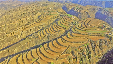 环县推进梯田建设防止水土流失-梯田建设-每日甘肃-庆阳