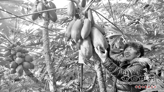 兰州红古区举行绿色休闲指南发布暨寒假春节采