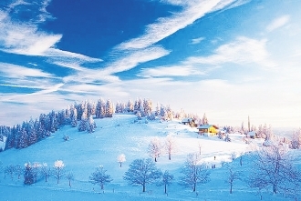 【阅读】盛世古琴不寂寞-陇南日报-每日甘肃网