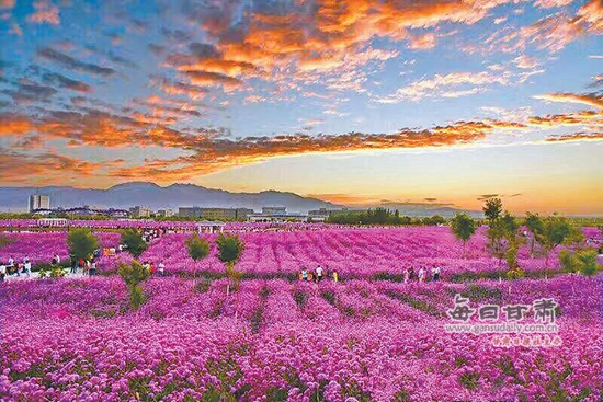 金昌市加快文化旅游产业发展综述-甘肃-每日甘