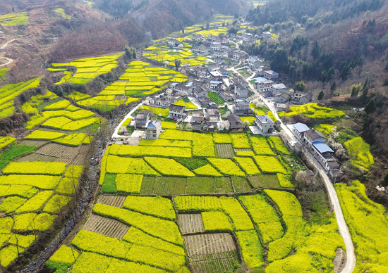 田庙乡人口_人口普查(2)