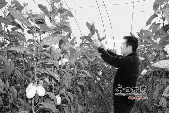 玉门市人均纯收入