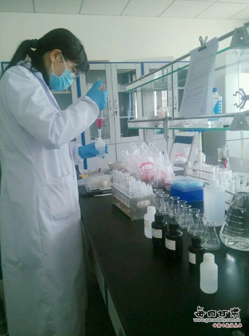 开拓创新的景泰县食品药品检验检测中心-食药