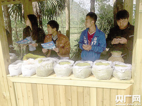 养蜂收入怎么样_开淘宝店收入怎么样(3)