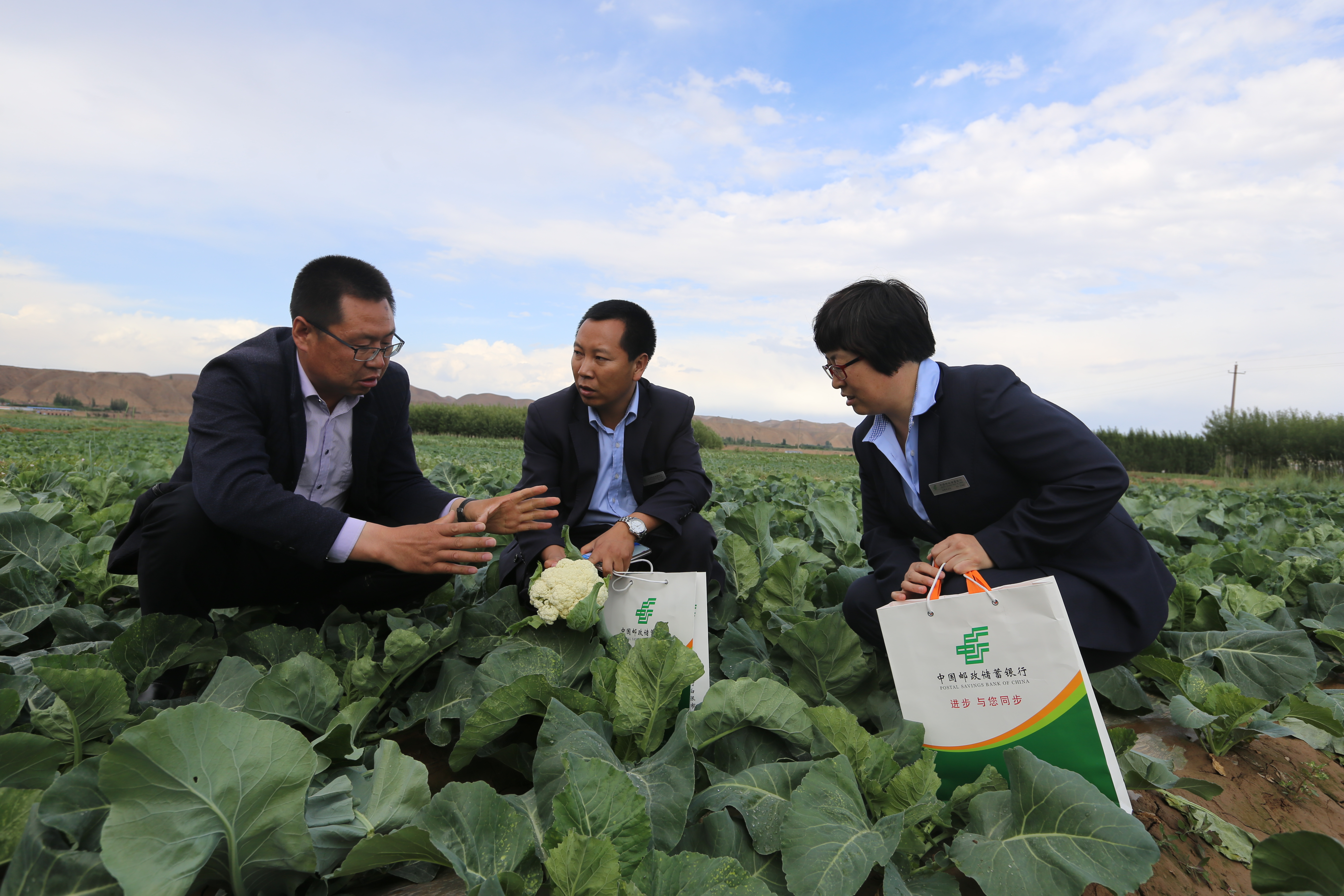 【央媒邮储基层行】邮储银行会宁县支行:“宣传单”带来致富经