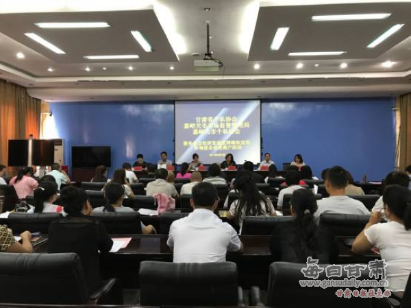 甘肃省民营企业经济总量_甘肃省地图(3)