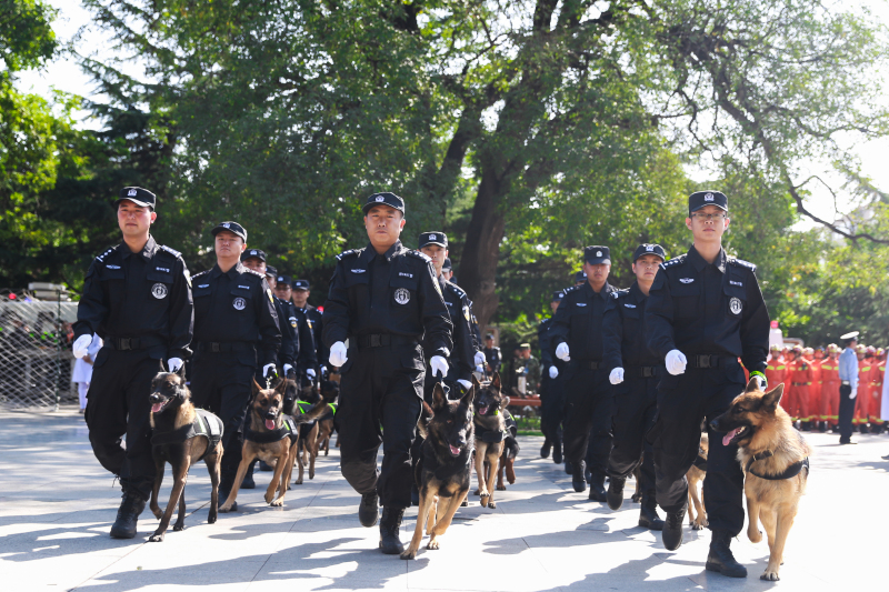 平凉市反恐应急处突演练暨十九大安保誓师大会