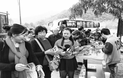 双节期间 前来康县的游客络绎不绝-陇南日报