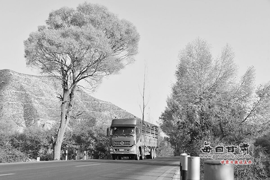 【图片新闻】永登龙泉寺镇至兰州新区中川镇公