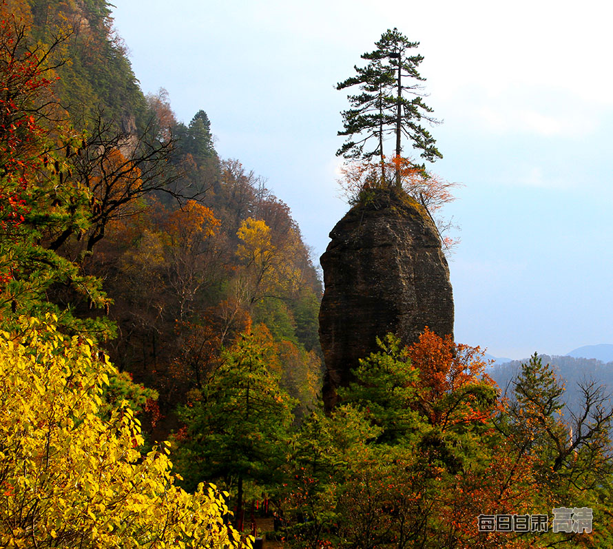 莲花台下畤美景(通讯员张小兵摄)