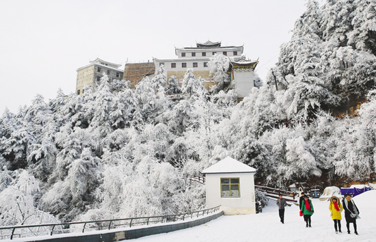 【图片新闻】成县国家级森林公园鸡峰山成"冰雪世界"