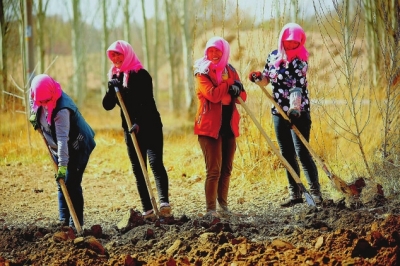 【图片新闻】永昌县南坝乡妇女正在田园里辛勤劳动