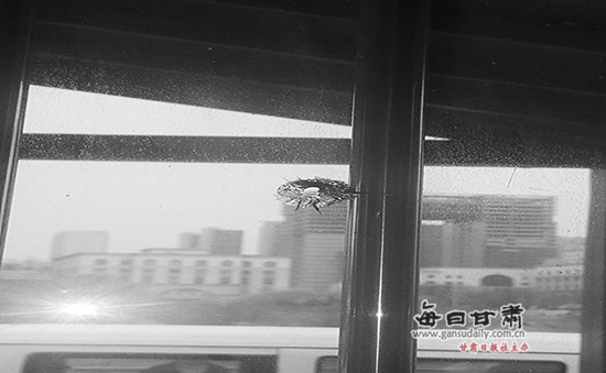 兰州盐场堡码头多艘船舶玻璃被钢珠击碎 疑为