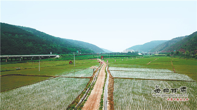 绿野平畴气象新--庆阳市农业综合开发工作综述