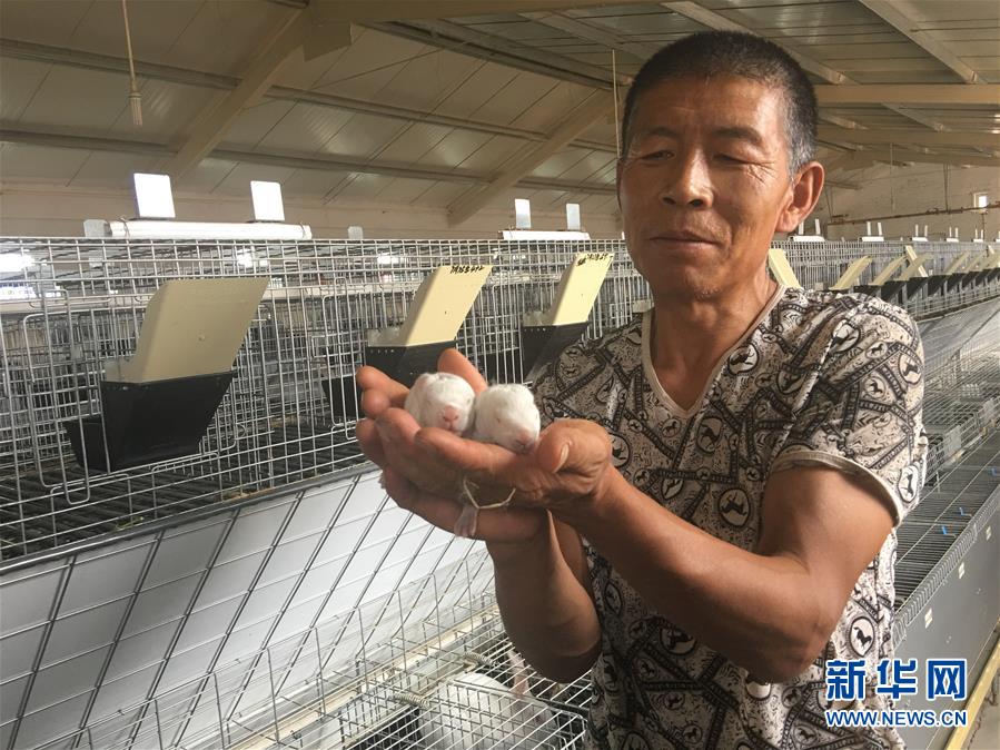 (新华全媒头条·在习近平新时代中国特色社会主义思想指引下——新时代新作为新篇章·图文互动)(10)绿富同兴画卷在沙海中铺展——库布其沙漠生态治理纪实