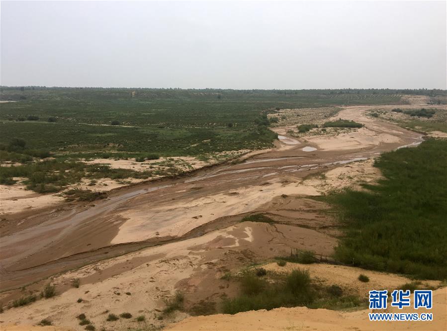 (新华全媒头条·在习近平新时代中国特色社会主义思想指引下——新时代新作为新篇章·图文互动)(5)绿富同兴画卷在沙海中铺展——库布其沙漠生态治理纪实