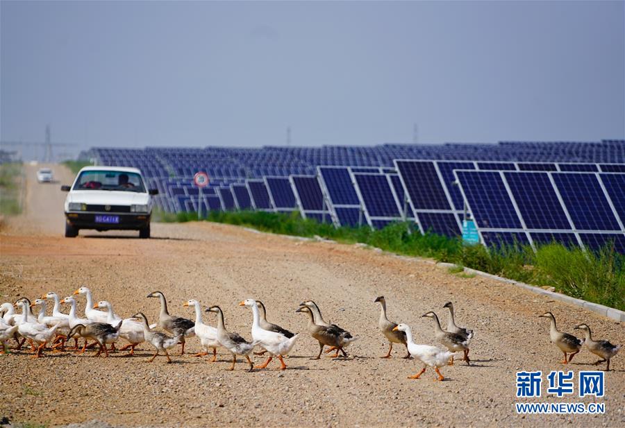 (新华全媒头条·在习近平新时代中国特色社会主义思想指引下——新时代新作为新篇章·图文互动)(7)绿富同兴画卷在沙海中铺展——库布其沙漠生态治理纪实