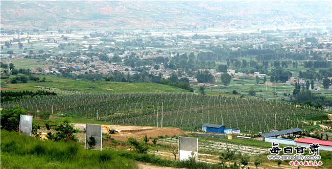 高枝密植基地.JPG
