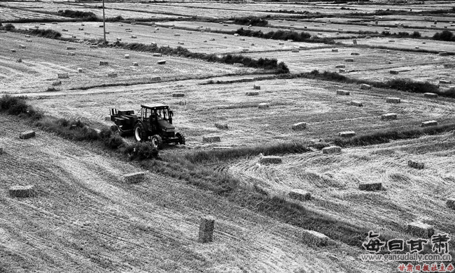 山丹县GDP_山丹县的社保局在哪个位置(2)
