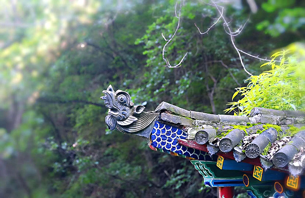 拍客榆中古建.JPG