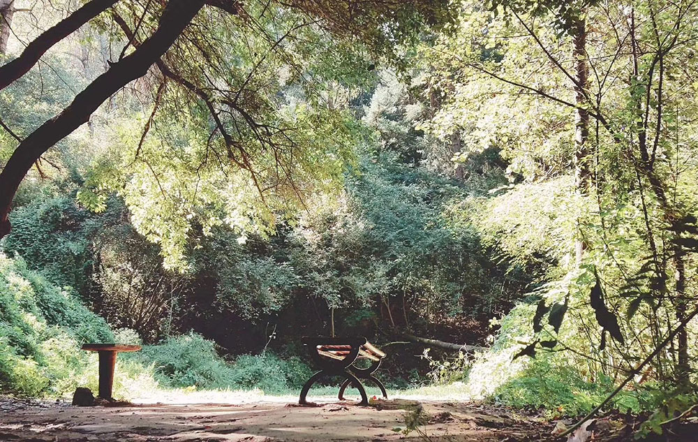 拍客榆中美景.JPG