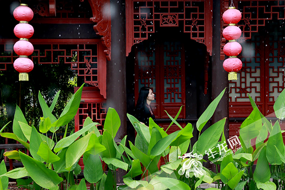 网媒记者走进璧山秀湖国家湿地公园洗肺 感叹