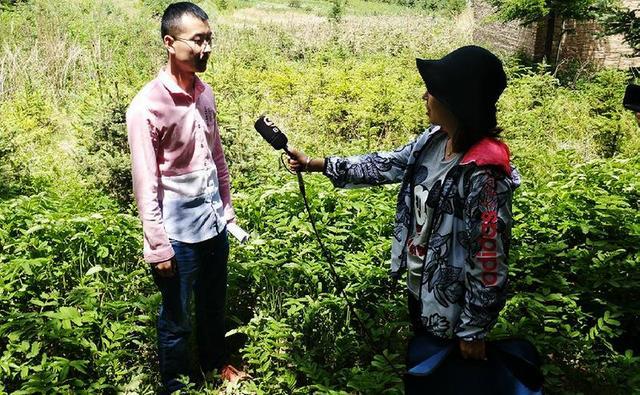 靖远哈思山:生态屏障初显雏形 野生动物频频“上镜”