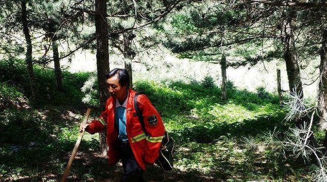 靖远哈思山:生态屏障初显雏形 野生动物频频“上镜”