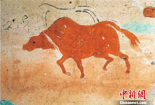 图为莫高窟第117窟盛唐耕牛。 敦煌研究院供图 图为莫高窟第117窟盛唐耕牛。 敦煌研究院供图