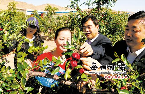 稻花香里话丰年 景泰五佛乡村旅游节隆重开幕