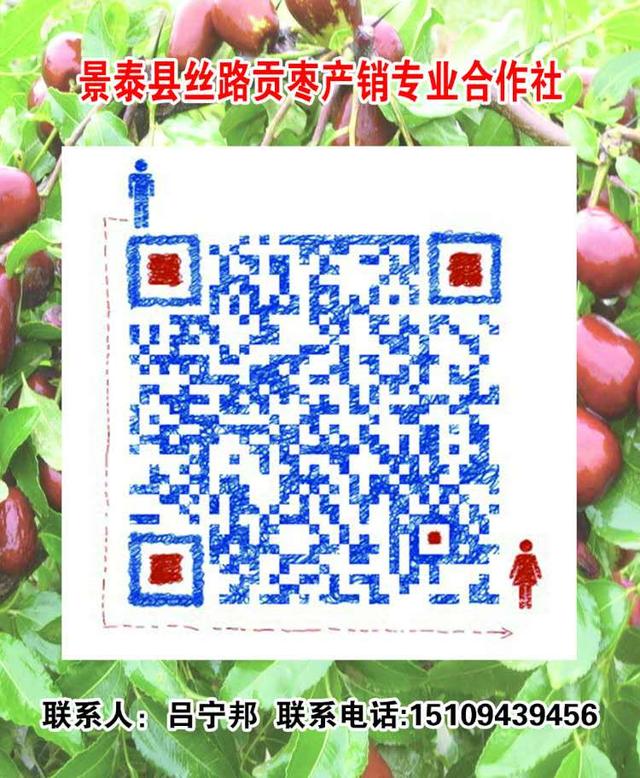 稻花香里话丰年 景泰五佛乡村旅游节隆重开幕