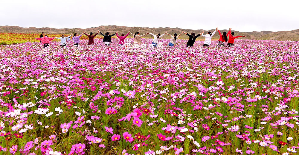 亲近自然DSC_9053.JPG