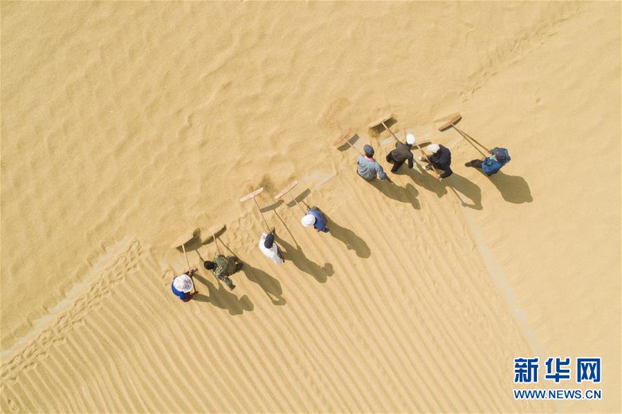 #(经济)(5)金秋时节收获忙
