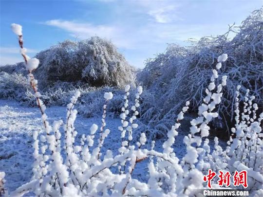甘肃肃南秋日落雪 满城银装素裹“披雪纱” 肃南迎来降雪,银装素裹化身白色世界。 郎文瑞 摄